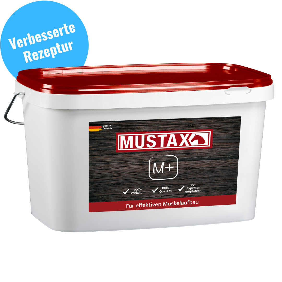 MUSTAX Muskel+